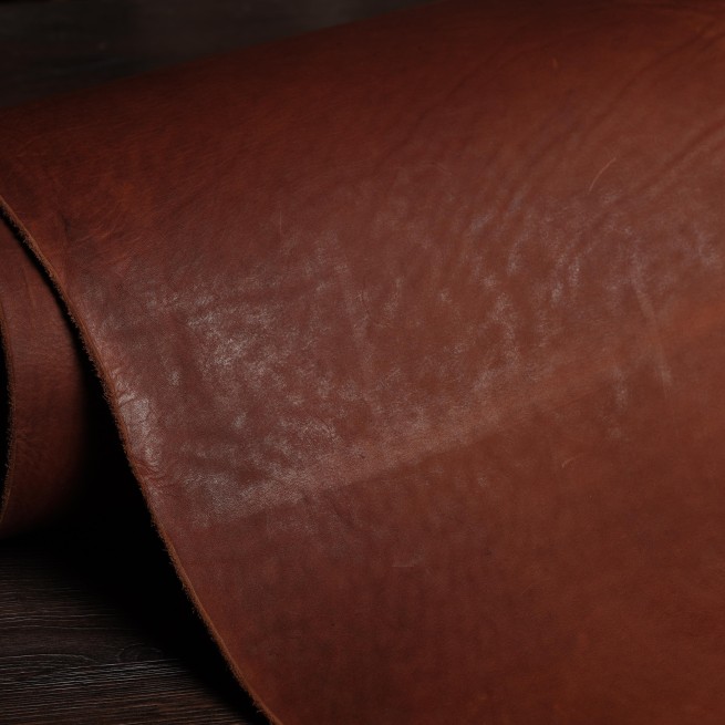 Aligo Group фото