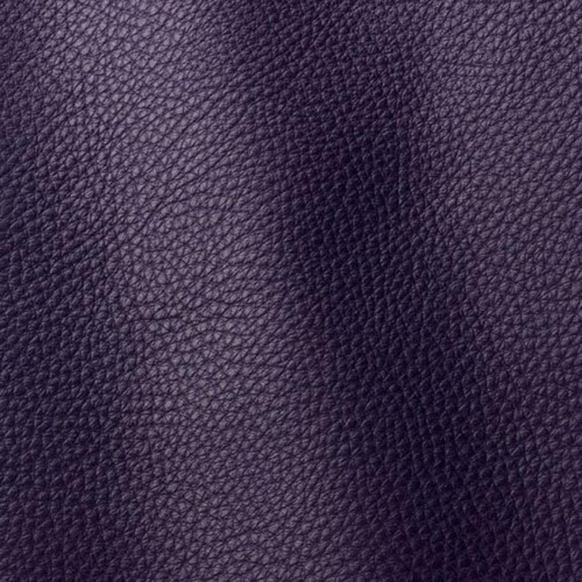 Aligo Group фото