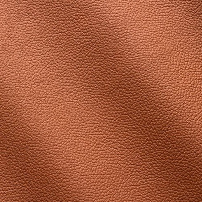 Aligo Group фото