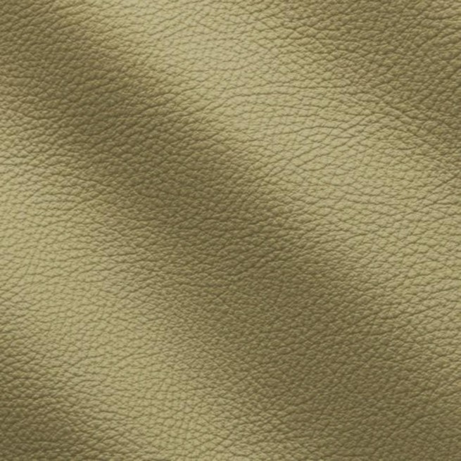 Aligo Group фото