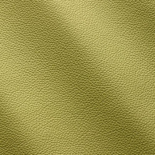 Aligo Group фото