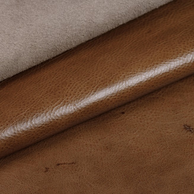 Aligo Group фото