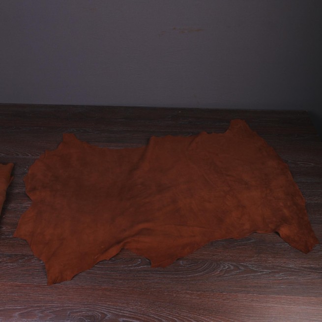 Aligo Group фото