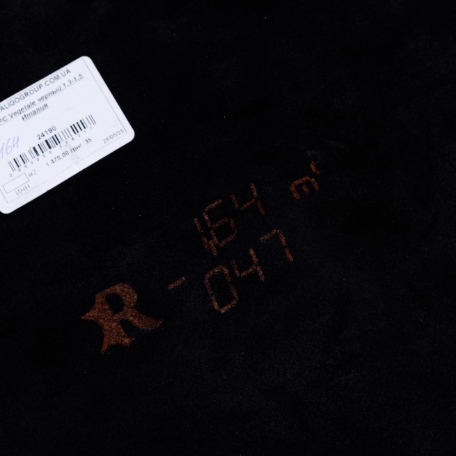 Aligo Group фото