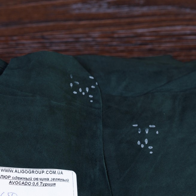 Aligo Group фото