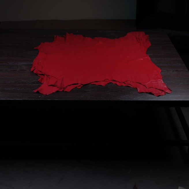 Aligo Group фото