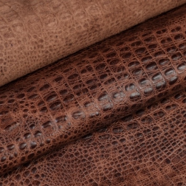 Aligo Group фото