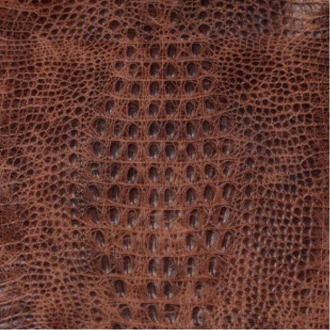 Aligo Group фото