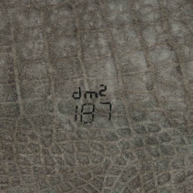 Aligo Group фото