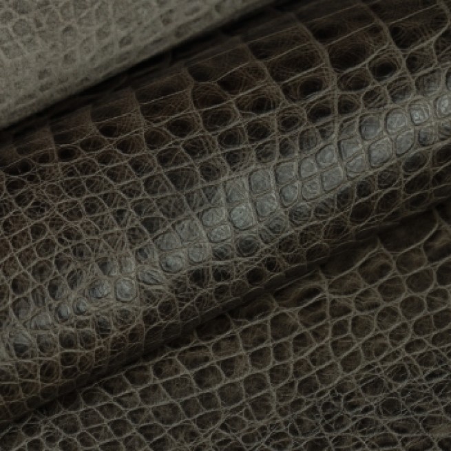 Aligo Group фото