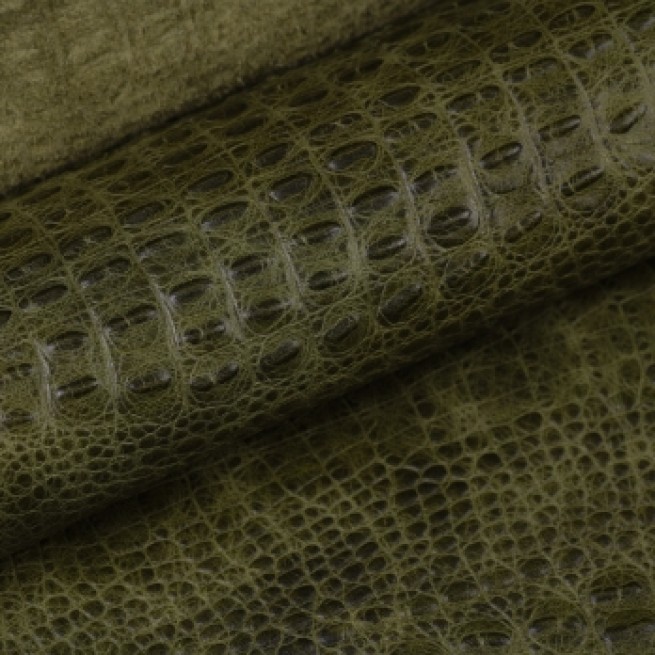 Aligo Group фото