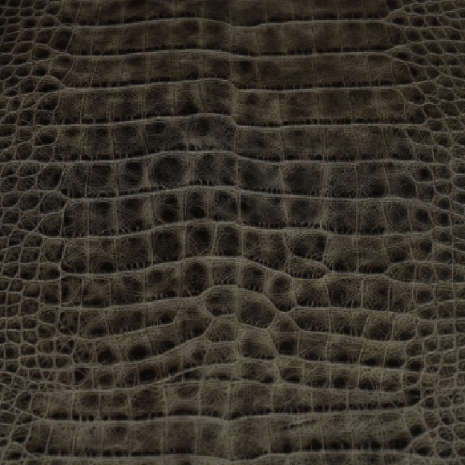 Aligo Group фото