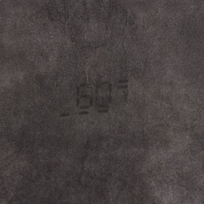 Aligo Group фото