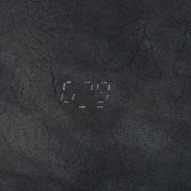 Aligo Group фото