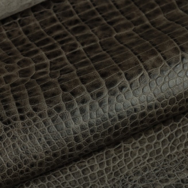 Aligo Group фото