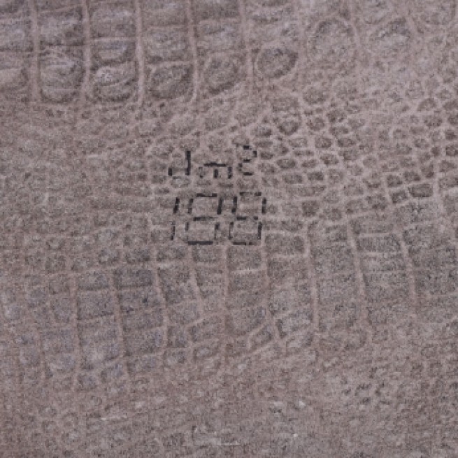 Aligo Group фото