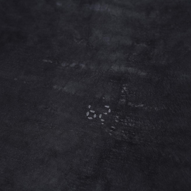 Aligo Group фото