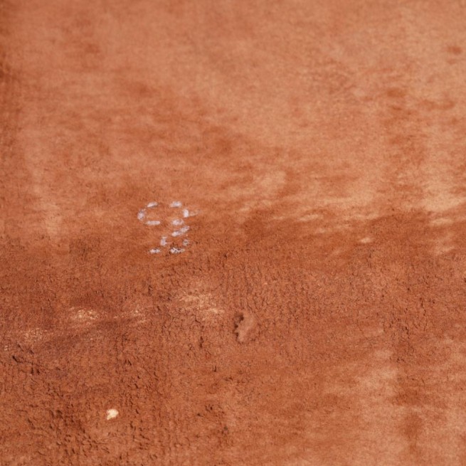 Шкіра одягова вівця коричневий JARED WHISKEY 0,7-0,9 мм