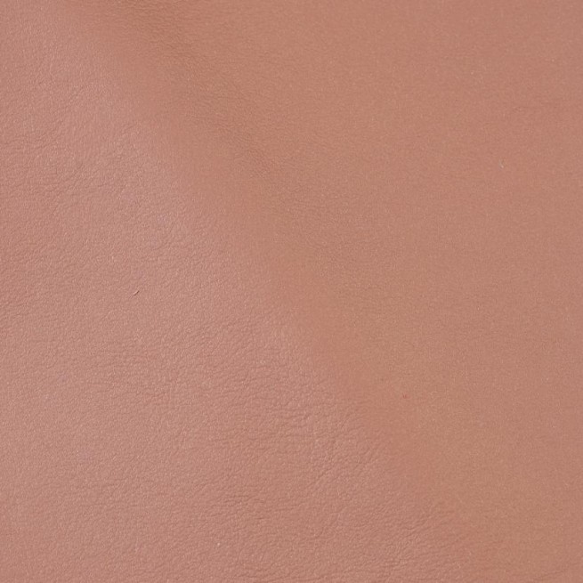 Aligo Group фото