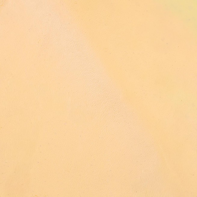 Aligo Group фото