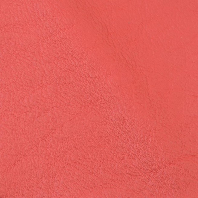 Aligo Group фото