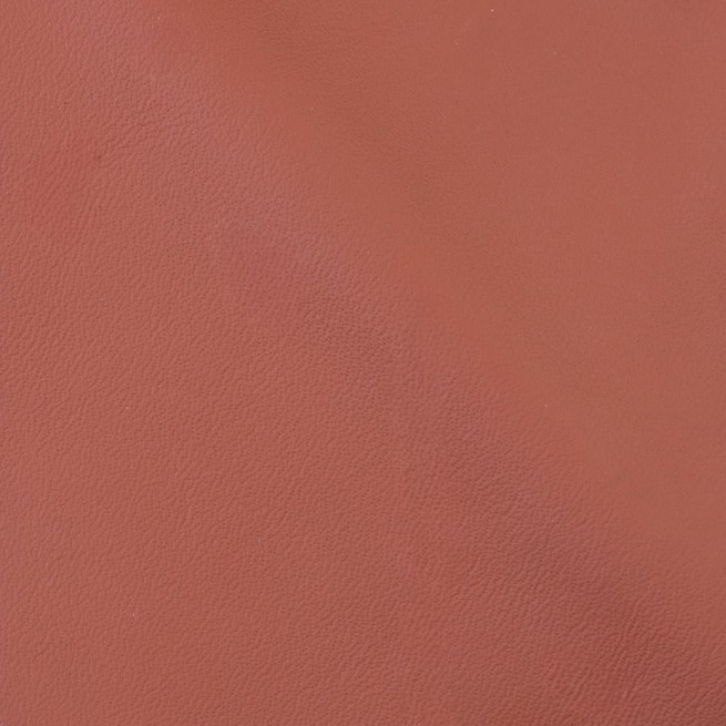 Aligo Group фото