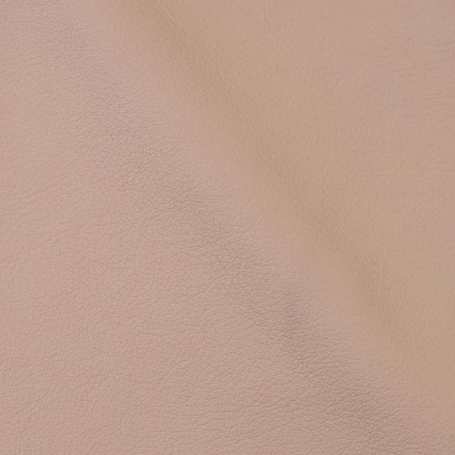 Aligo Group фото