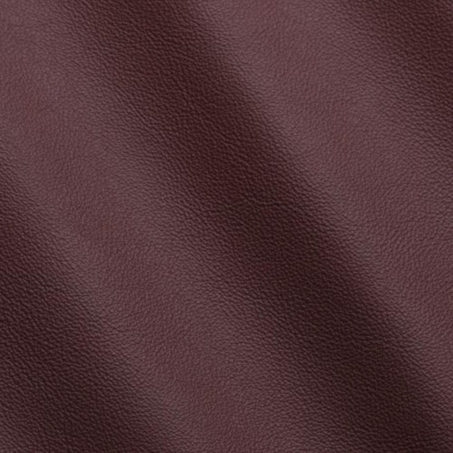 Aligo Group фото