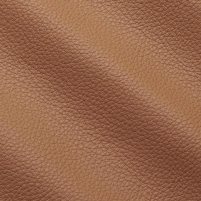 Aligo Group фото