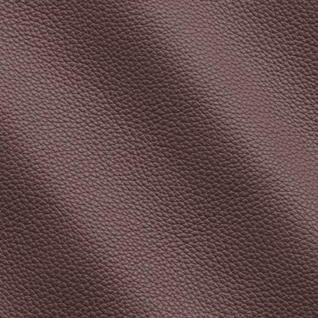 Aligo Group фото