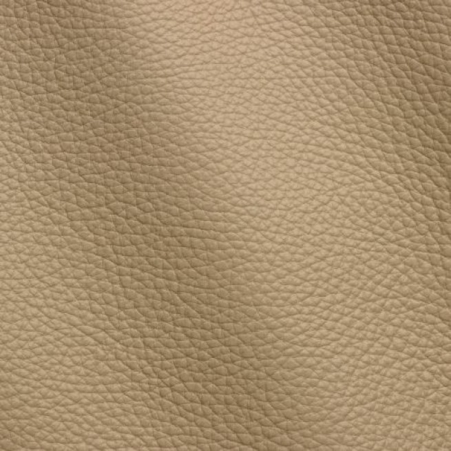 Aligo Group фото