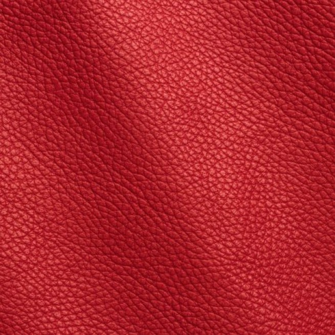 Aligo Group фото