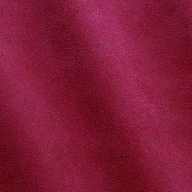 Aligo Group фото