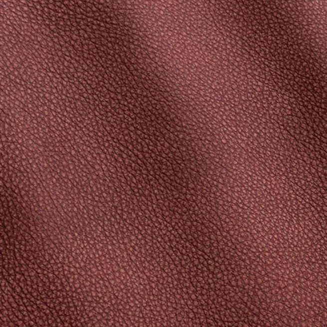 Aligo Group фото