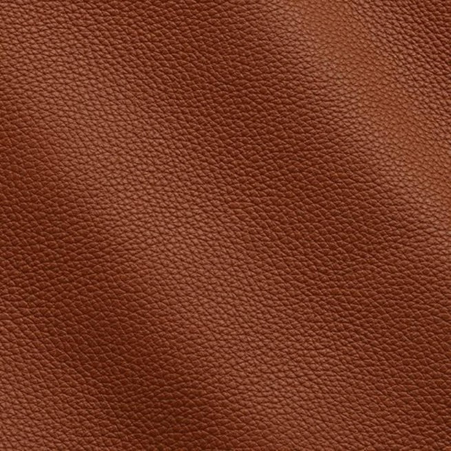 Aligo Group фото