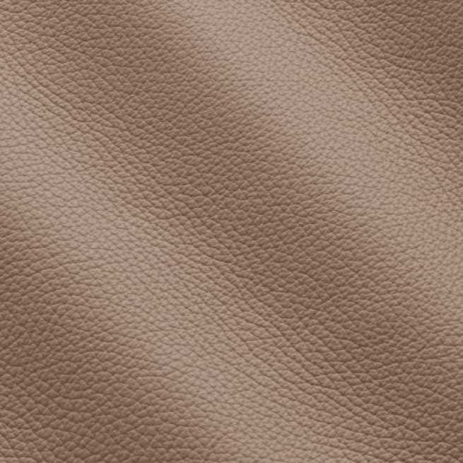 Aligo Group фото