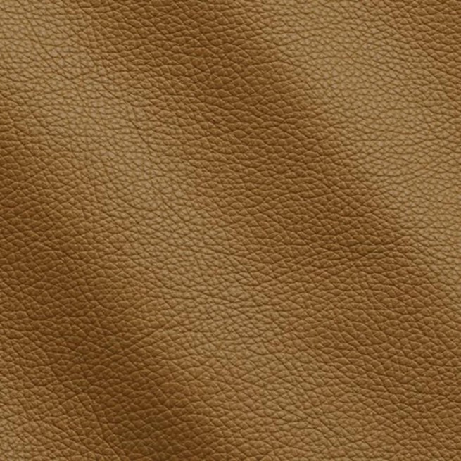 Aligo Group фото