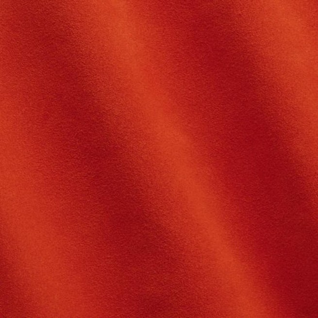 Aligo Group фото