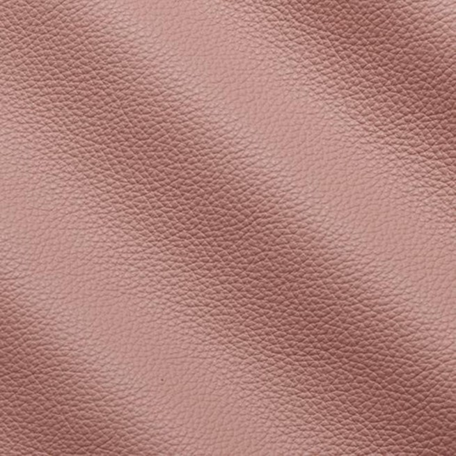 Aligo Group фото