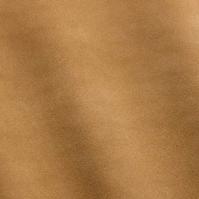 Aligo Group фото