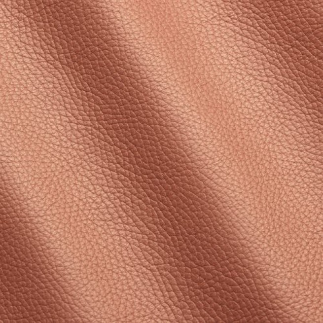 Aligo Group фото