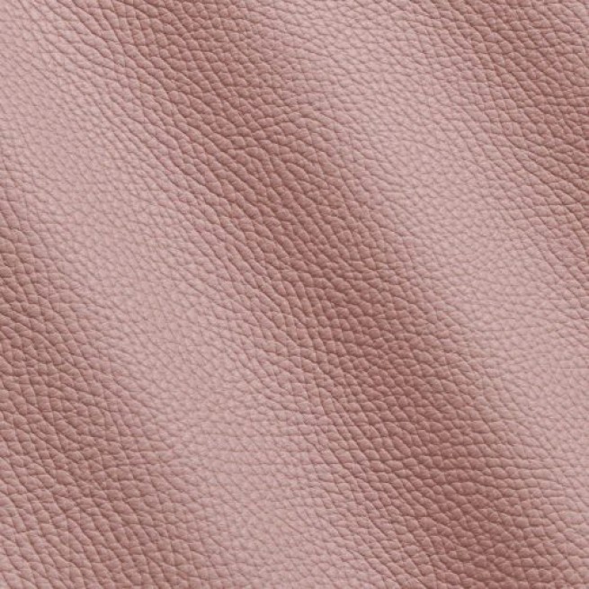 Aligo Group фото