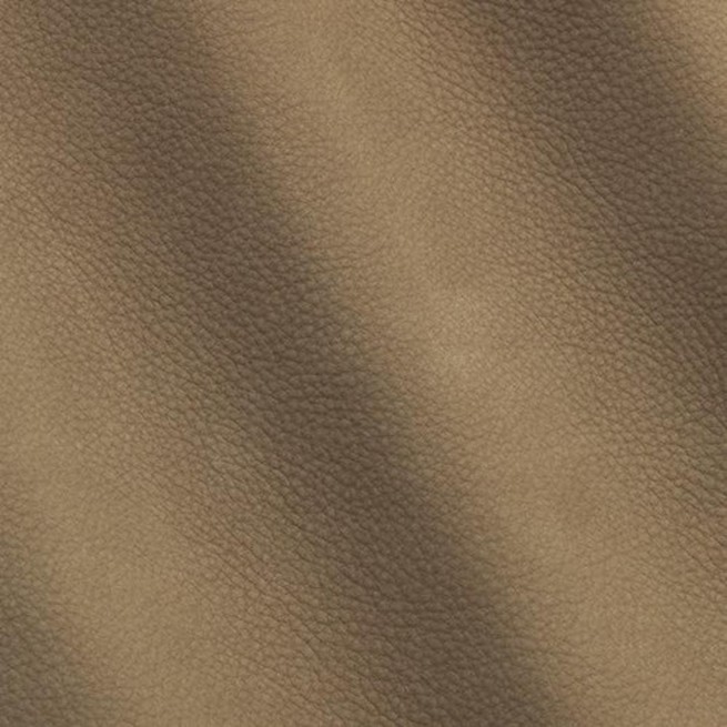 Aligo Group фото