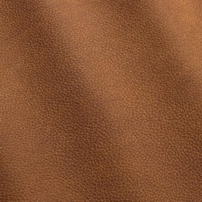 Aligo Group фото