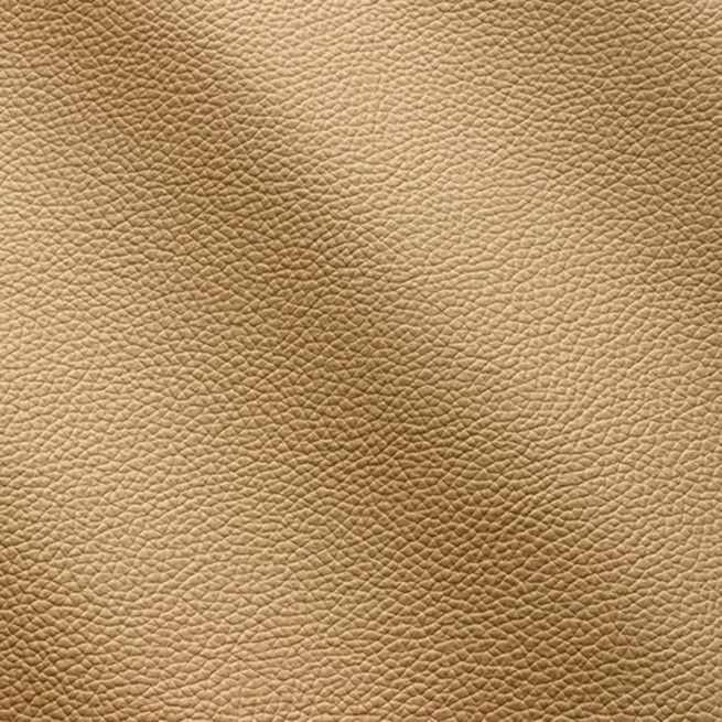 Aligo Group фото