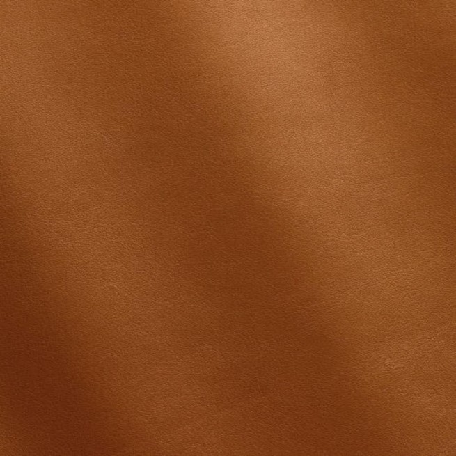 Aligo Group фото