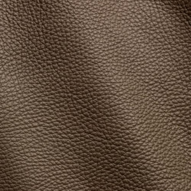 Aligo Group фото