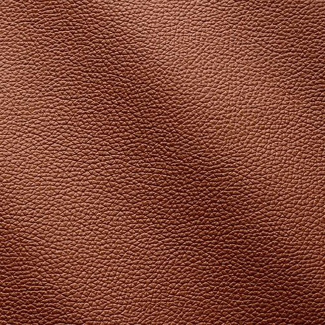 Aligo Group фото