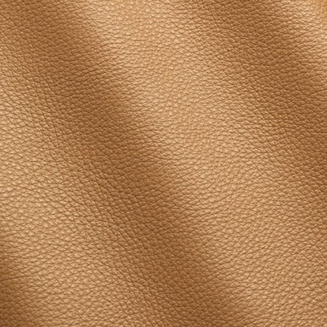 Aligo Group фото