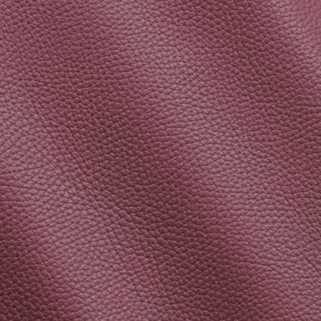 Aligo Group фото